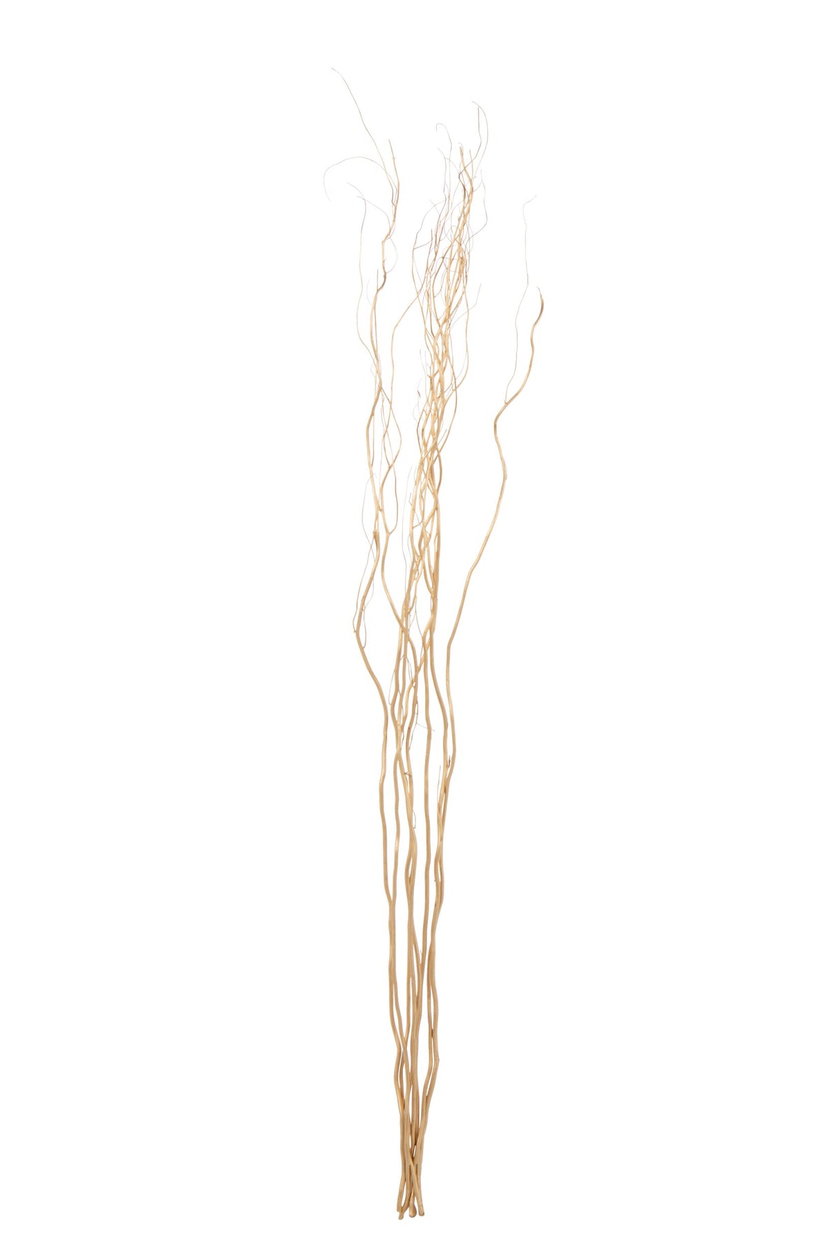 Gold Branches Bundle